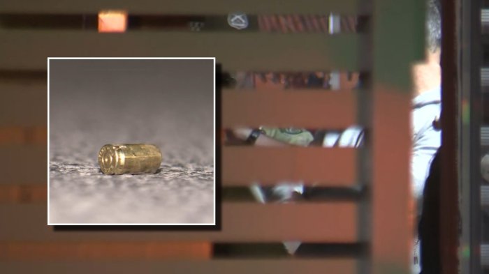 Nueve delincuentes realizan violento turbazo a familia en El Bosque: Amenazaron a madre e hija con pistolas