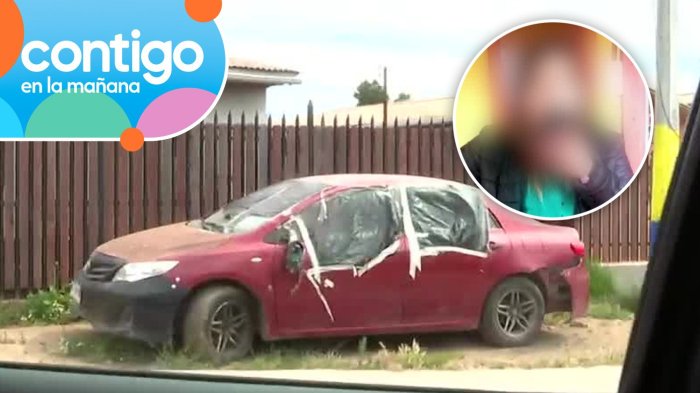 Veterinaria vive hace tres meses en su auto en Viña del Mar: Sufriría de alucinaciones