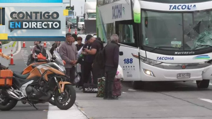 “Falleció instantáneamente”: Bus atropelló a peatón que habría cruzado en paso no habilitado en PAC