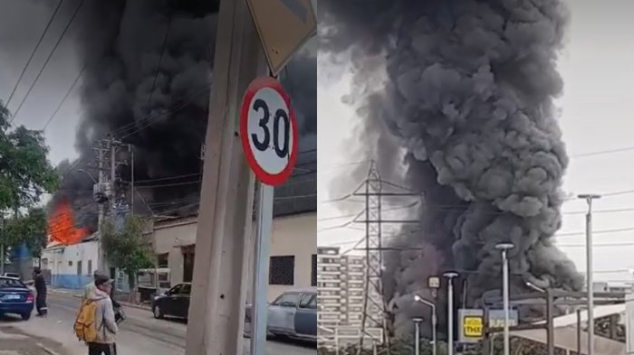 VIDEO | Alerta por gigantesca columna de humo negro: Registros de la emergencia por incendio en Ruta 5