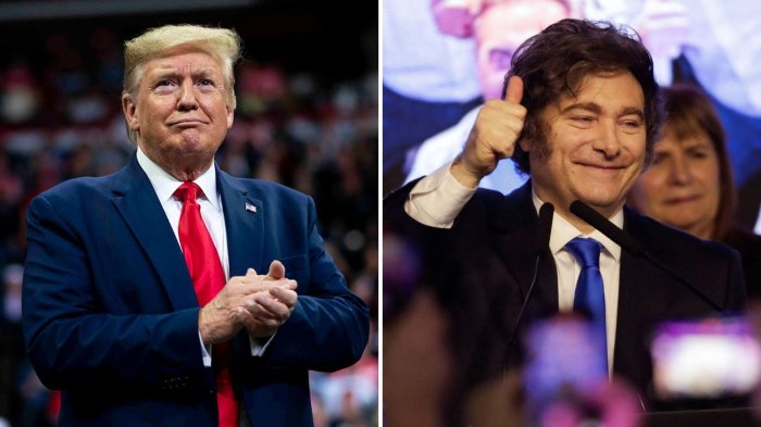 “Excelente trabajo”: Donald Trump felicitó a Javier Milei tras amplio triunfo en elecciones legislativas en Argentina