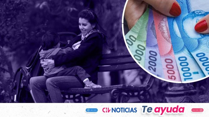 ¿Eres mamá? Revisa con tu rut si puedes optar al Bono por Hijo