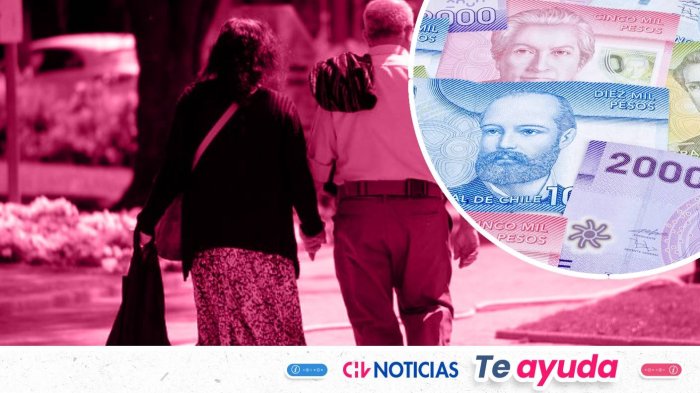 Proyecto busca que adultos mayores paguen menos contribuciones: En qué consiste y quiénes lo recibirían