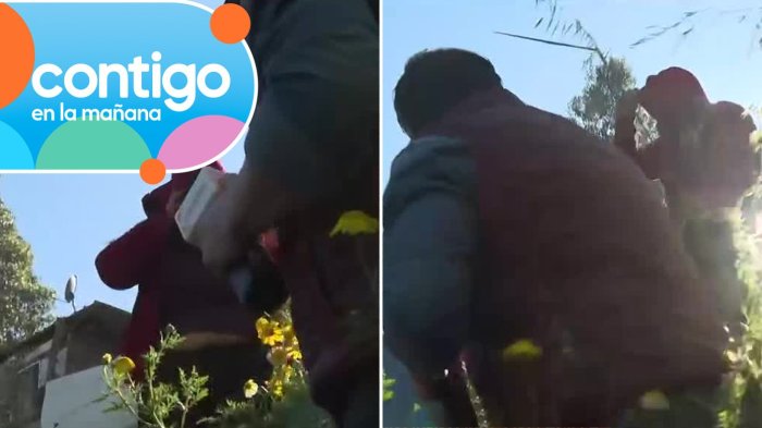 “¡Te rompo esa...!”: Periodista de Contigo en la Mañana fue amenazado por pobladora en desalojo de toma