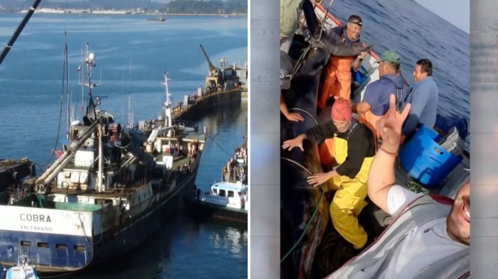 Caso Bruma: Familiares de tripulantes critican traslado del buque en medio de investigación por naufragio