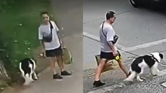 VIDEO | Cámaras de seguridad captaron a detenido el día del triple homicidio en La Reina