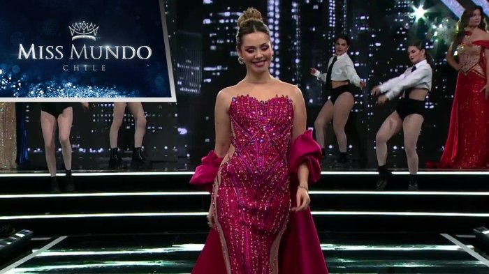 Representante de Valparaíso reveló su campaña enfocada en la adopción de animales en Miss Mundo Chile