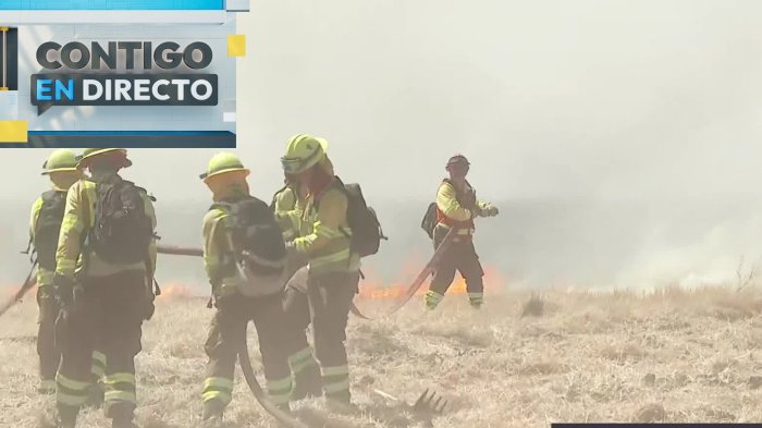 Peligro de propagación: Incendio forestal afecta a la comuna de Pudahuel y amenaza viviendas cercanas
