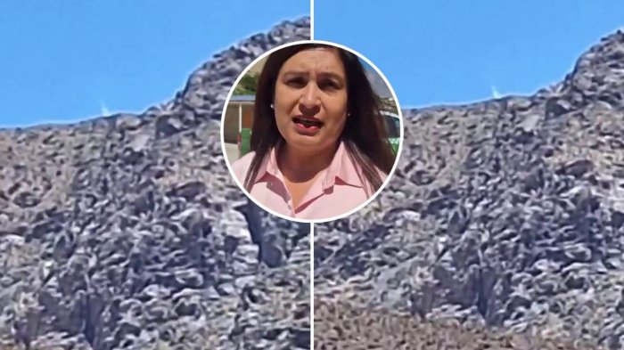 Extraño fenómeno en Coquimbo: Alcaldesa de Río Hurtado confirmó caída de “objeto no identificado”