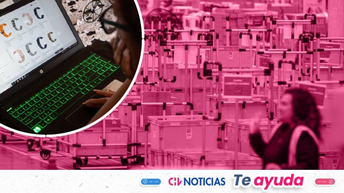 Grupo de Empresas ofrece más de 1500 puestos laborales por Black Friday