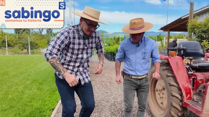 El carisma y humor del Huaso Jacinto en Palmilla | Los Reyes Guachacas | Sabingo