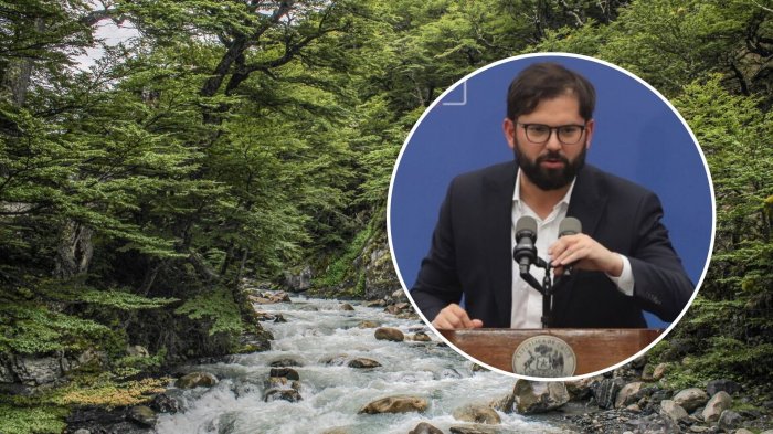 Pdte. Boric tras tragedia en Torres del Paine: “Cuentan con toda la colaboración de las autoridades”