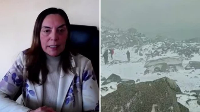“No hay ninguna persona que....”: Alcaldesa expuso hipótesis tras fatal tragedia en Torres del Paine