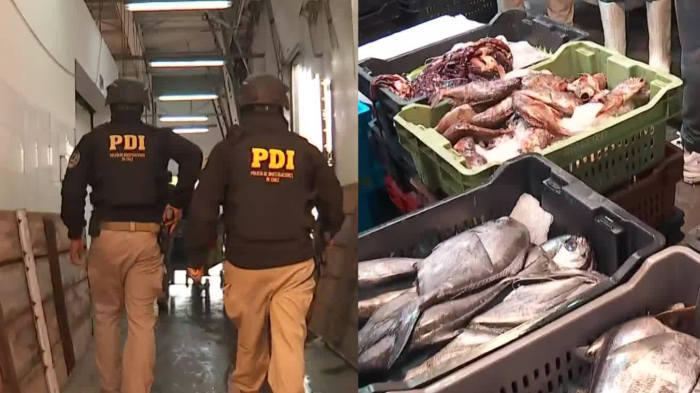 Megaoperativo en Terminal Pesquero Metropolitano dejó 19 detenidos por robo de salmón