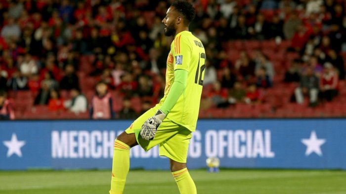 Sentido de pertenencia: Lawrence Vigouroux contó que rechazó a otra selección para defender a Chile