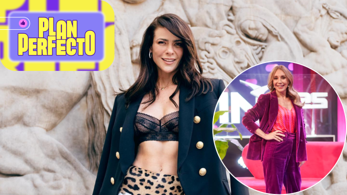 ¿Regreso oficial a matinales? Tonka Tomicic sería el reemplazo de Karen Doggenweiler en Festival de Viña