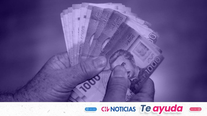 Estos son todos los bonos estatales que puedes cobrar la última semana de noviembre