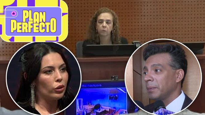 Tras demanda de Juan David Rodríguez: Jueza retó a Daniela Aránguiz por estar de viaje en plena audiencia