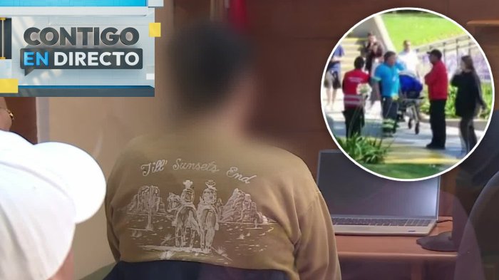 Por crisis psiquiátrica: Lo que gatilló ataque con cuchillo de estudiante contra profesor en Valparaíso