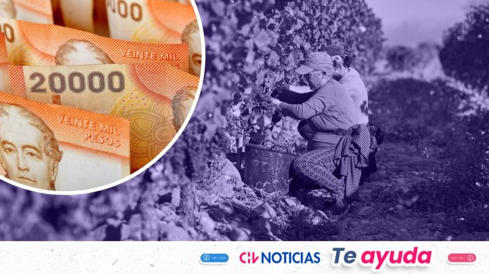 Inicia pago mensual del Bono al Trabajo de la Mujer: Consulta si te corresponde en noviembre