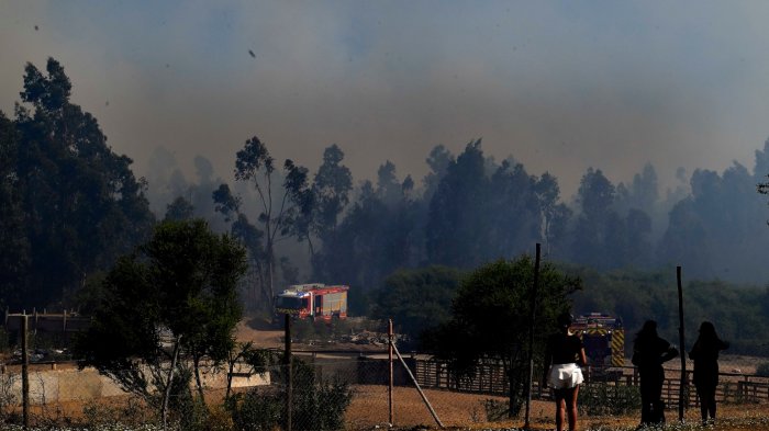 Senapred solicita evacuar sectores de Limache por incendio forestal