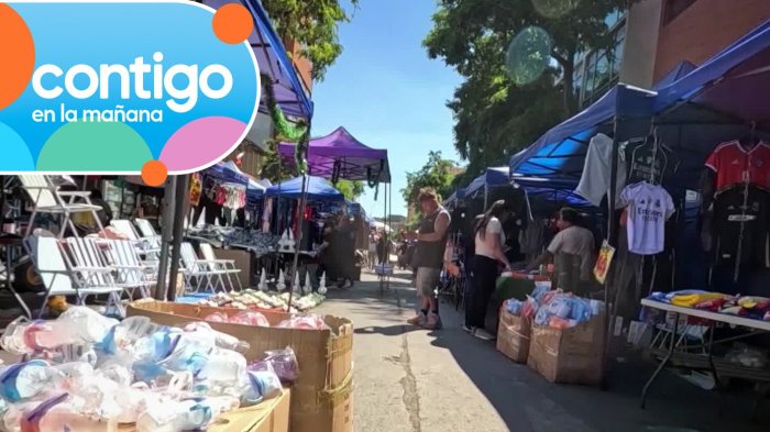 Comercio ilegal desatado: Ambulantes se multiplican en diciembre en Meiggs y otras comunas