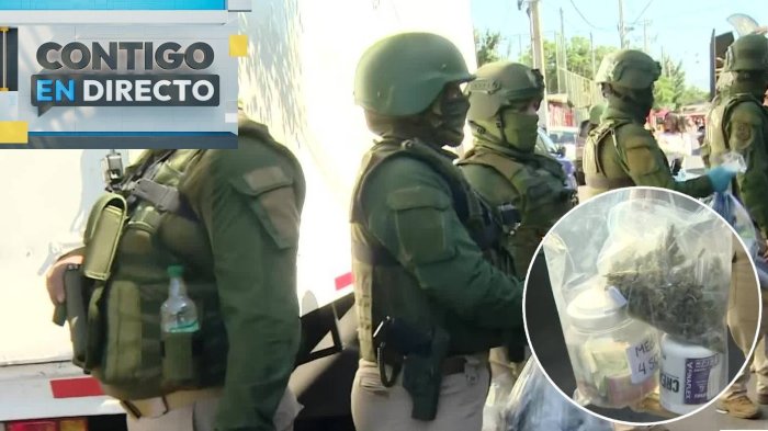 Operativo en La Pintana dejó 12 detenidos en allanamiento antidrogas: Vecinos denunciaron anónimamente