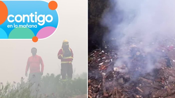 Alerta por incendio en cerro San Roque de Valparaíso: Siniestro se habría originado en vertedero ilegal