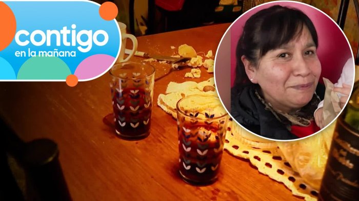 ¿Dónde está Luz Espinoza? Dos copas de vino serían clave en misteriosa desaparición de mujer en Malloa