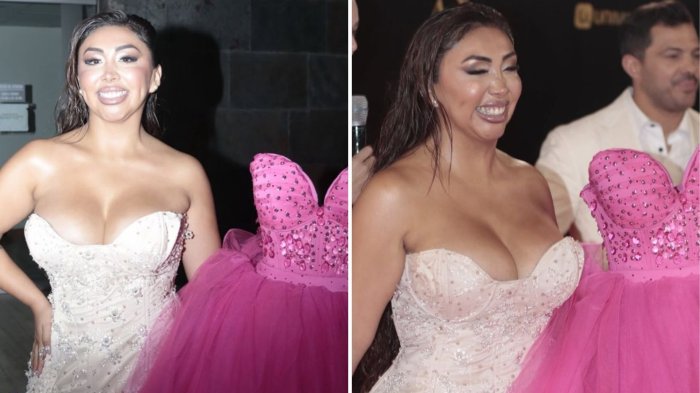 “No la reniego, la abrazo”: Naya Fácil reveló la historia detrás de su vestido en el Copihue de Oro