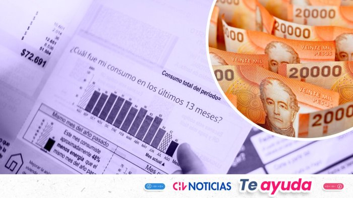 Último día para postular a Subsidio Eléctrico: Este es el paso a paso y los requisitos del beneficio