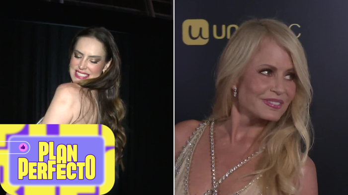 ¡Las protagonistas de la noche! Estas fueron las mejores y peores vestidas en los Copihues de Oro