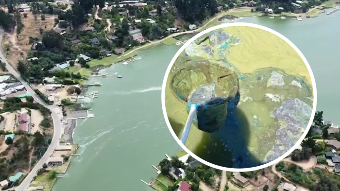 Lago Vichuquén tóxico: Autoridades decretan cierre total de playas y anuncian multas