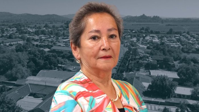 Intenso operativo busca a concejala de Villa Alegre: Ordenan intervenir el río tras nuevo hallazgo