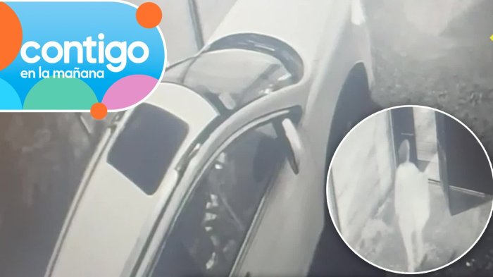 ¿No iba conduciendo? Revelan nuevo registro de María Ignacia González momentos antes de desaparecer