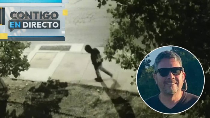 Cirugía en sus manos y vegetación copiosa: Surgen datos claves en búsqueda de hombre desaparecido en Valparaíso