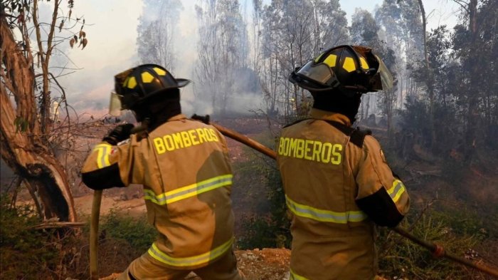 Bomberos expulsó a voluntario acusado de provocar incendio forestal en Pocochay