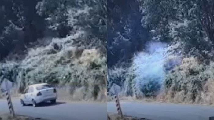 VIDEO | Revelan momento exacto en que voluntario de bombero lanza objeto incendiario a pastizal