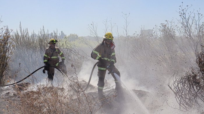 Incendio forestal en Padre Hurtado: Fuego ha consumido seis hectáreas y amenaza viviendas