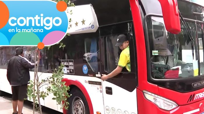 VIDEO | Captados in fraganti: Buses con turistas argentinos fueron descubiertos estacionando ilegalmente
