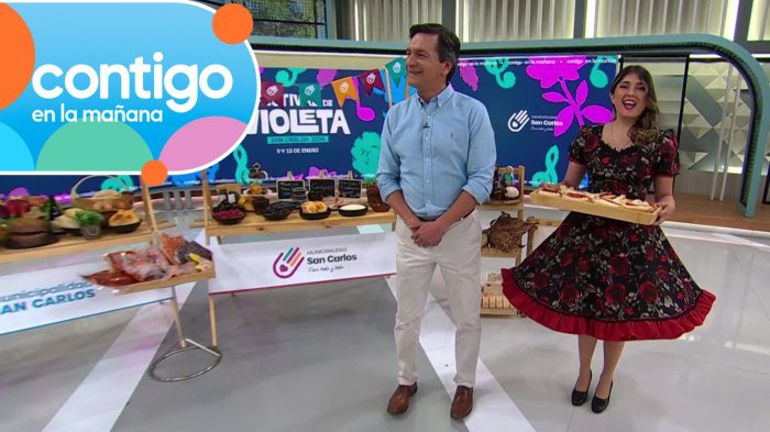Festival de Violeta de San Carlos 2026 será transmitido por Chilevisión: Descubre acá las novedades