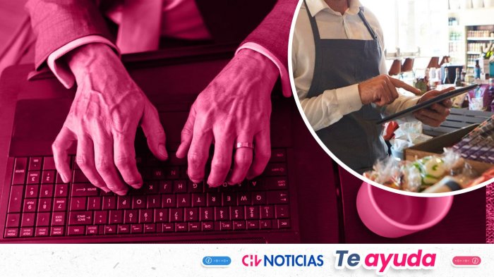 Ofrecen 1.500 becas gratuitas de capacitación digital: Cómo postular y quiénes pueden acceder
