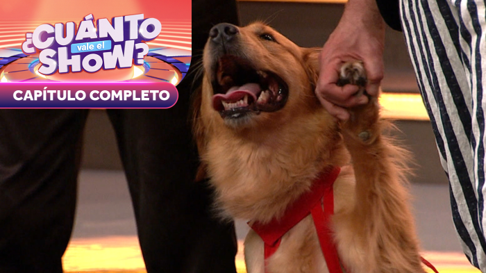 Una final llena de perritos e intensidad | ¿Cuánto Vale el Show? | Capítulo 34