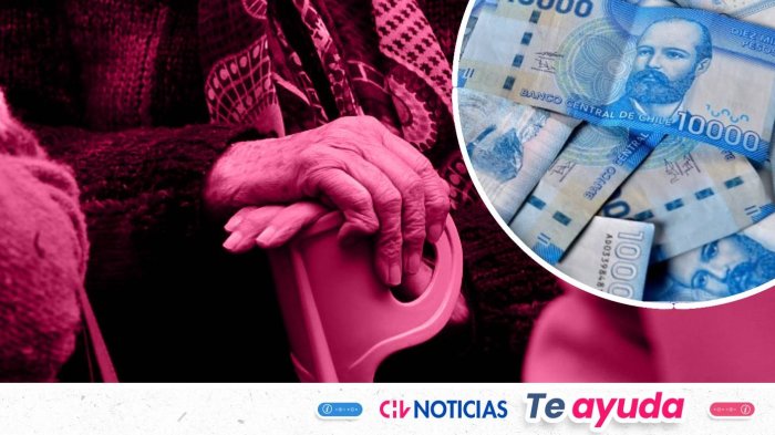 PGU aumentará su alcance en 2026: Estos son los requisitos para recibir los $250 mil