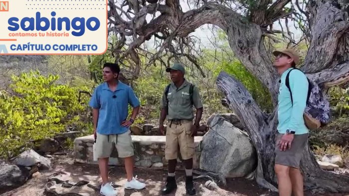 ¡Viajes extraordinarios y exquisita gastronomía! | Sabingo | Capítulo 13 de diciembre