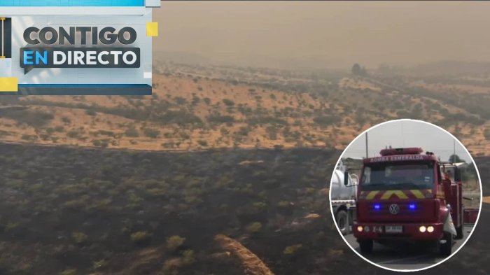 Incendio forestal en Melipilla consumió 1.667 hectáreas: Arrasó con casas y sigue el peligro de propagación