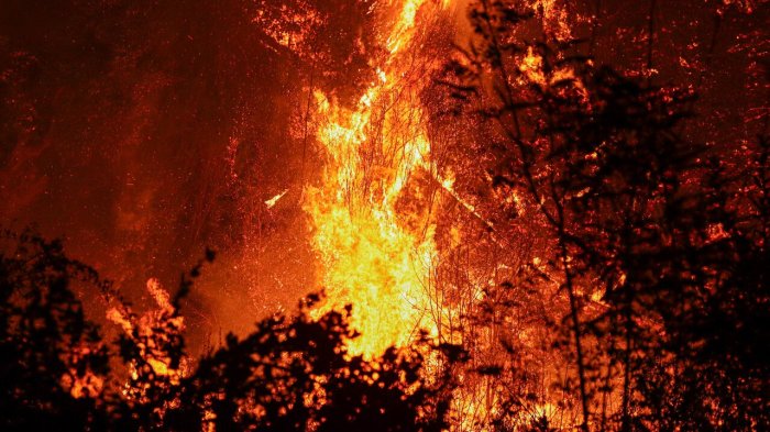 Incendio forestal en San Pedro: 450 hectáreas afectadas y al menos tres viviendas destruidas