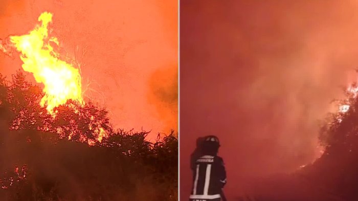 “Mucha precaución”: Allison Göhler analizó condiciones climáticas tras incendio forestal en San Pedro