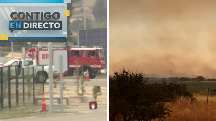 Alerta en tres regiones por incendios forestales: Al menos cuatro siniestros activos en el país