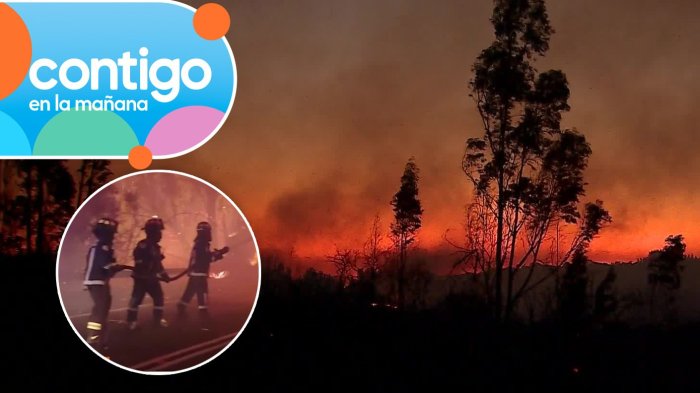 Humo cubrió la capital tras incendio en San Pedro de Melipilla: Fuego afectó más de 1.870 hectáreas